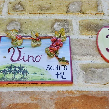 Schito 114